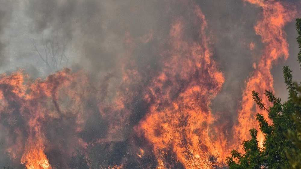 Εικόνα του άρθρου Μαίνεται η φωτιά στην Ηλεία