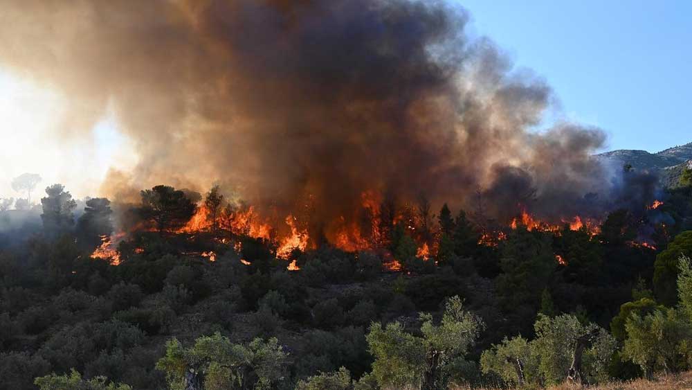 Εικόνα του άρθρου …και οι πυρκαγιές καίνε ακόμη