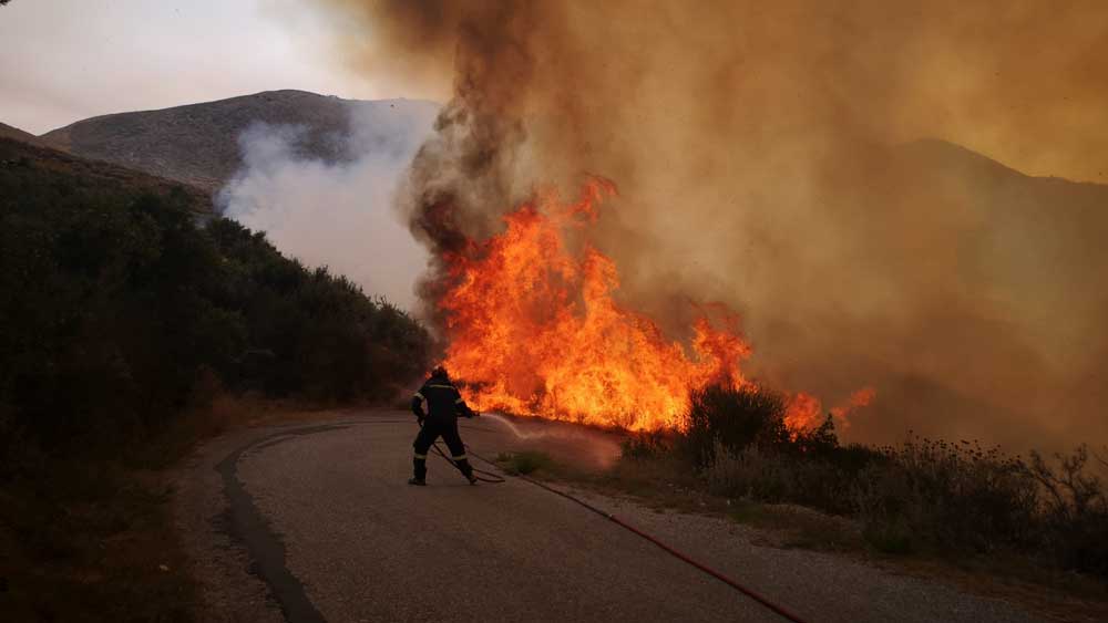 Σουφλί: Φωτιά στο δάσος της Δαδιάς, ημέρα έκτη