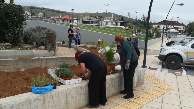 Δήμος Ζίτσας: προσδοκίες για τον κλάδο των αρωματικών φυτών