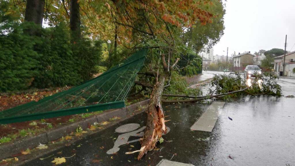 Εικόνα του άρθρου Η καταιγίδα Αμελί σαρώνει τη νοτιοανατολική Γαλλία