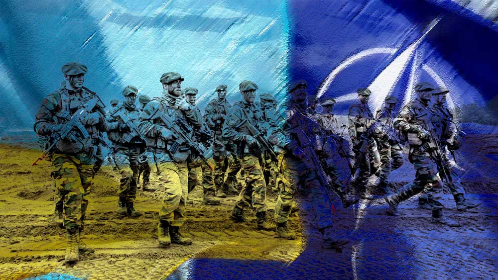 Εικόνα του άρθρου Η Ουκρανία αναμένει πρόσκληση ένταξης στο ΝΑΤΟ