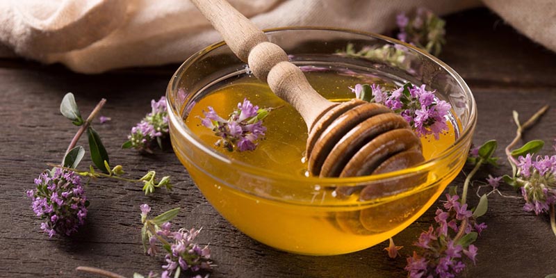 Εικόνα του άρθρου Θυμαρίσιο μέλι: Οι ιδιότητες που το κάνουν ξεχωριστό