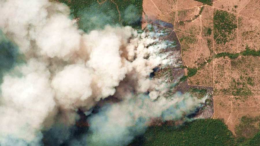 Πυρκαγιές στον Αμαζόνιο: Οι βασικές αιτίες