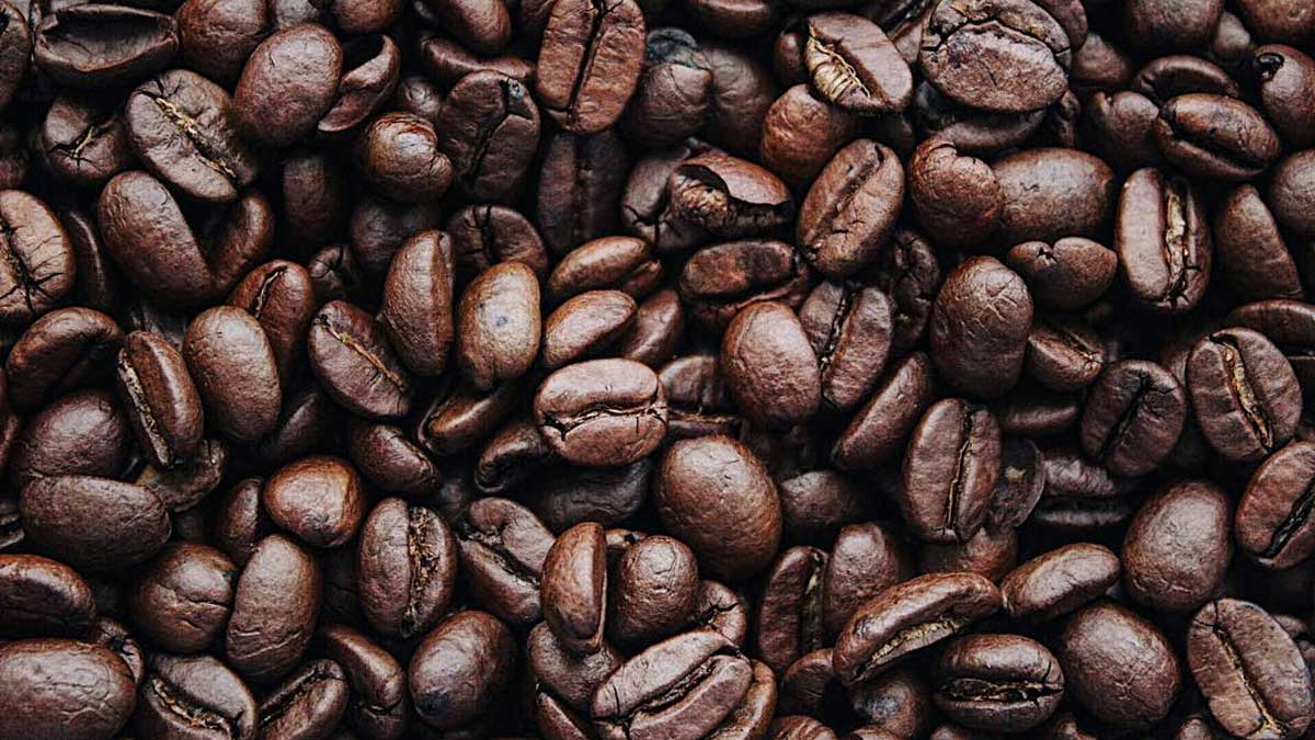 Αrabica: Μια ποικιλία καφέ 600.000 ετών