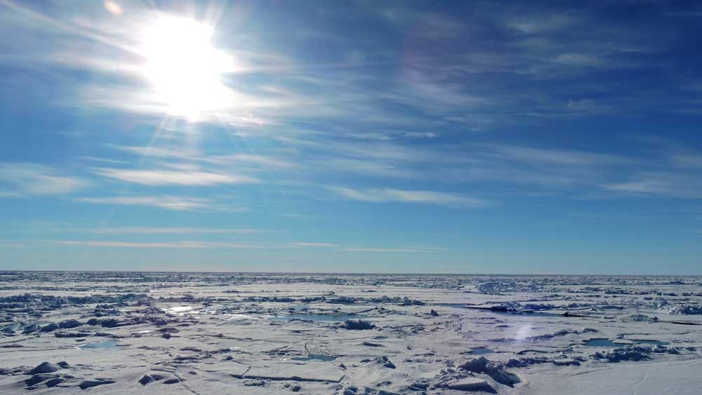 Καύσωνας, 115 χιλιόμετρα βόρεια του Αρκτικού Κύκλου