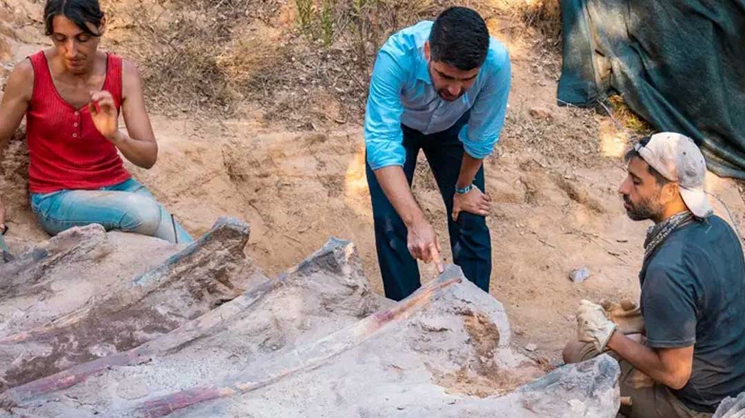 Εικόνα του άρθρου Πορτογαλία: Βρήκαν τον μεγαλύτερο δεινόσαυρο στην Ευρώπη