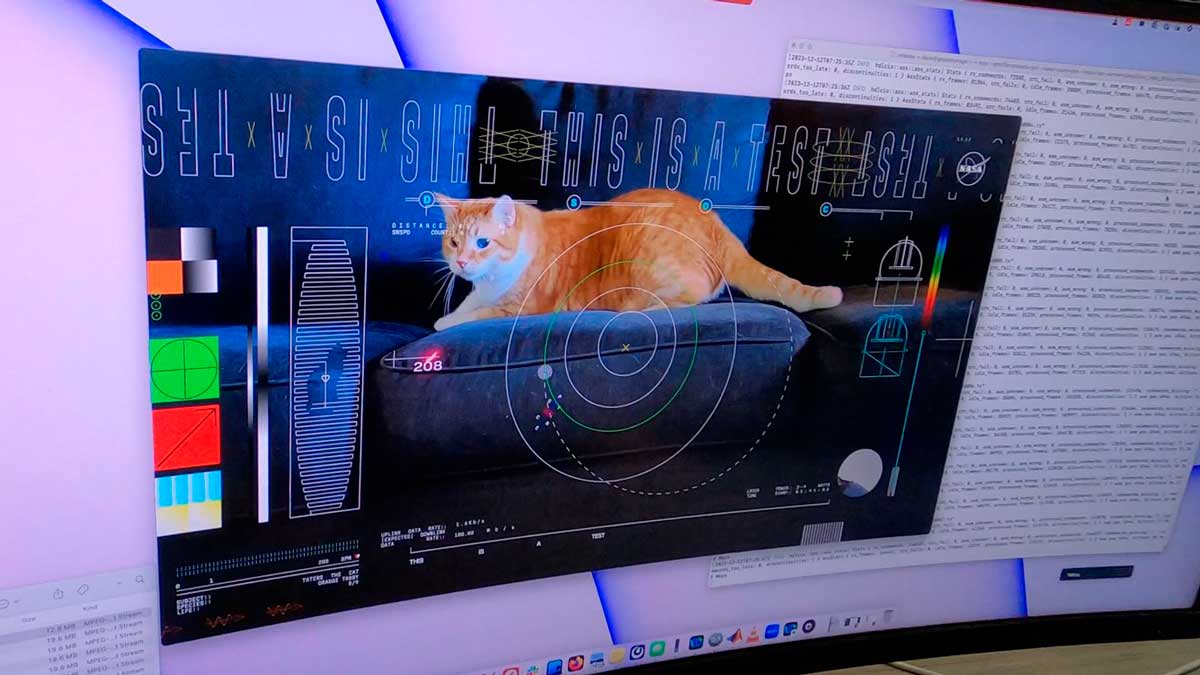 Εικόνα του άρθρου Η NASA και το πείραμα του λέιζερ με τη γάτα