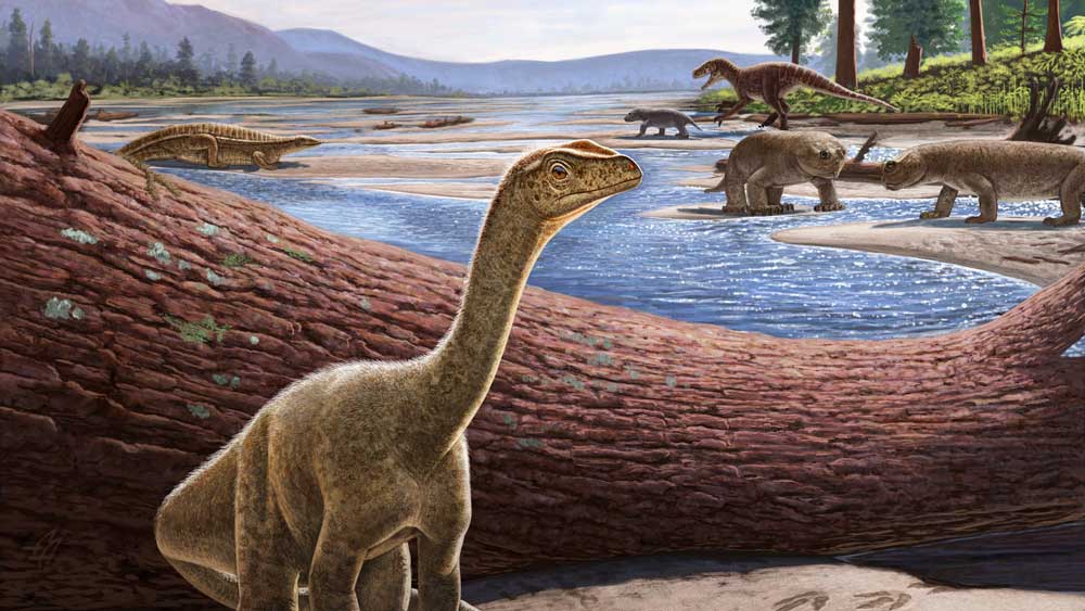 «Mbiresaurus», ο αρχαιότερος δεινόσαυρος της Αφρικής