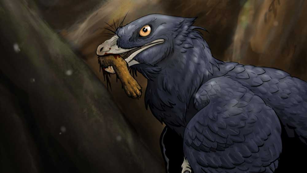 Microraptor: Ο πρώτος δεινόσαυρος που έφαγε θηλαστικό