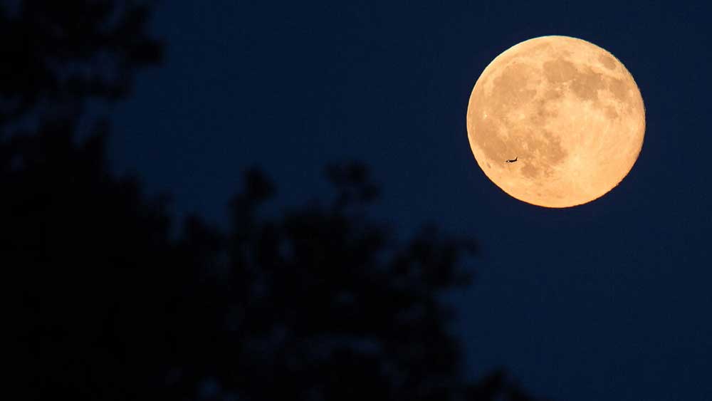 Εικόνα του άρθρου Πανσέληνος και ολική έκλειψη Σελήνης
