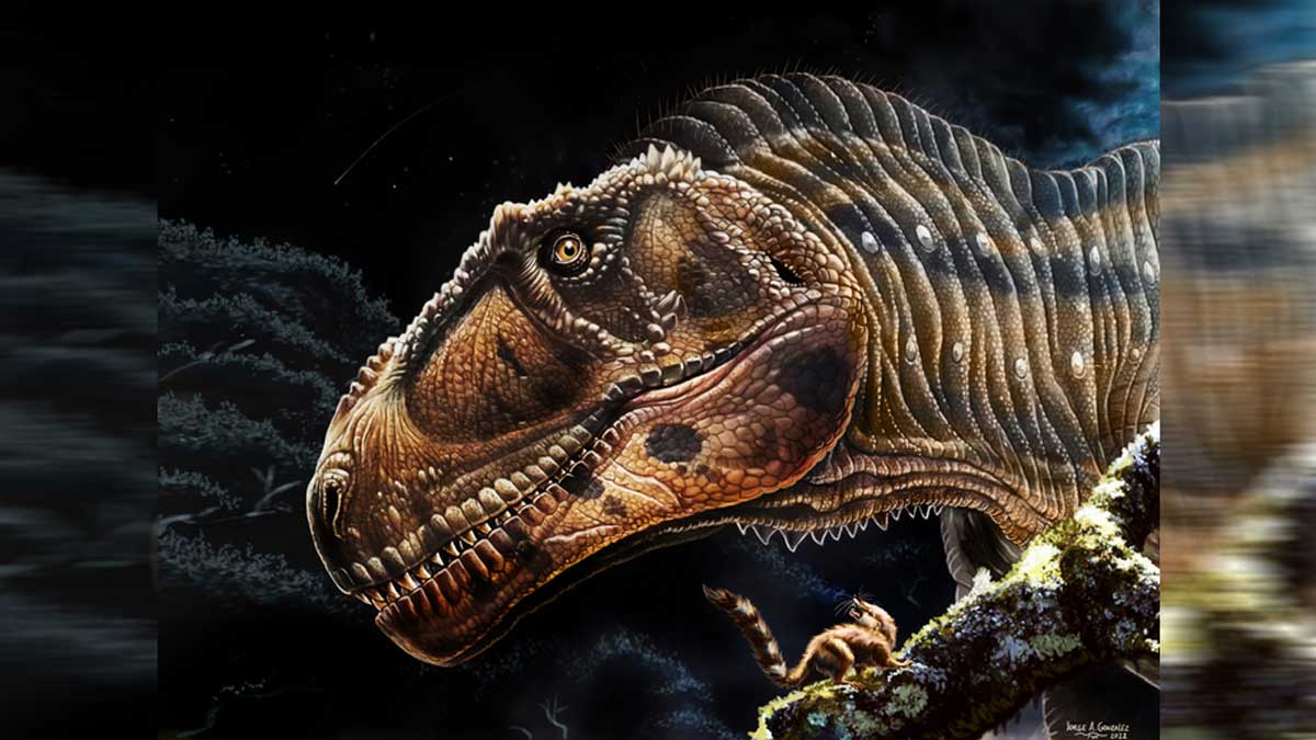 Εικόνα του άρθρου Αργεντινή: Ανακάλυψαν ένα νέο είδος δεινόσαυρου