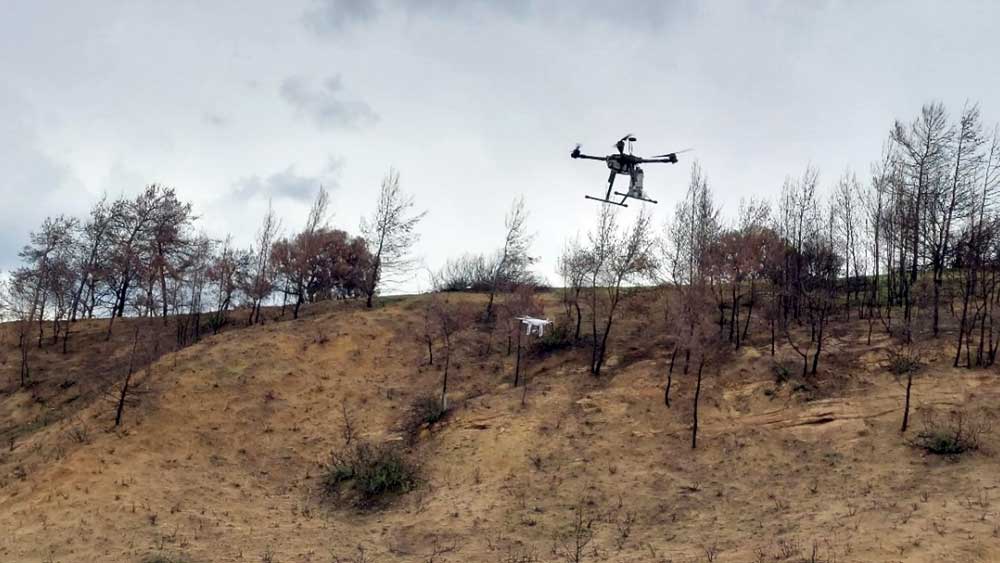 Πιλοτικό πρόγραμμα αναδάσωσης με drone