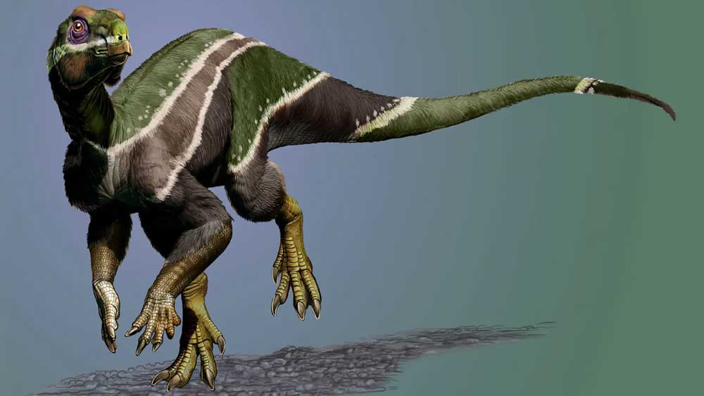 Iani smithi: Το νέο είδος δεινοσαύρου που ανακαλύφθηκε στη Γιούτα