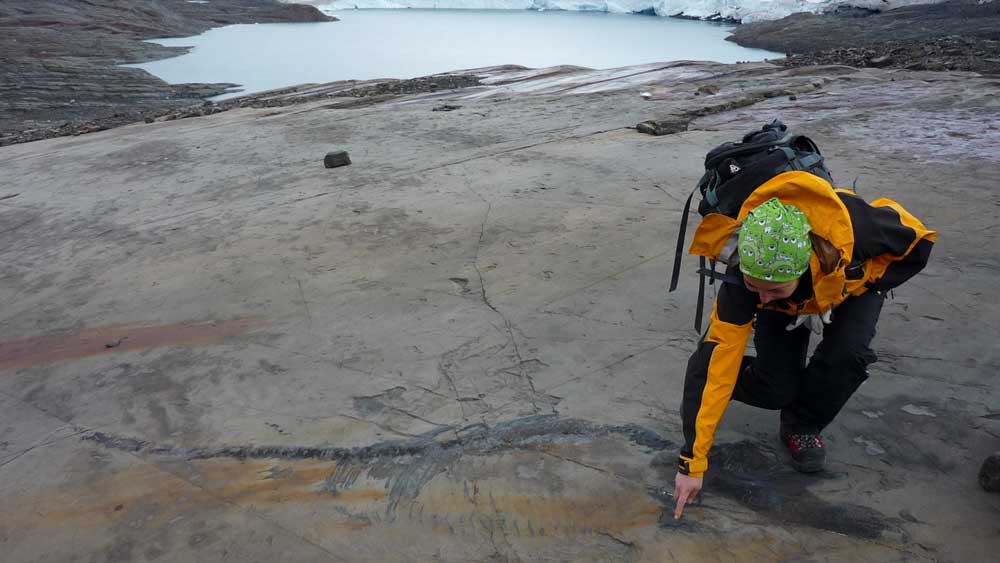 Χιλή: Απολίθωμα εγκύου ιχθυόσαυρου ανακαλύφθηκε σε παγετώνα