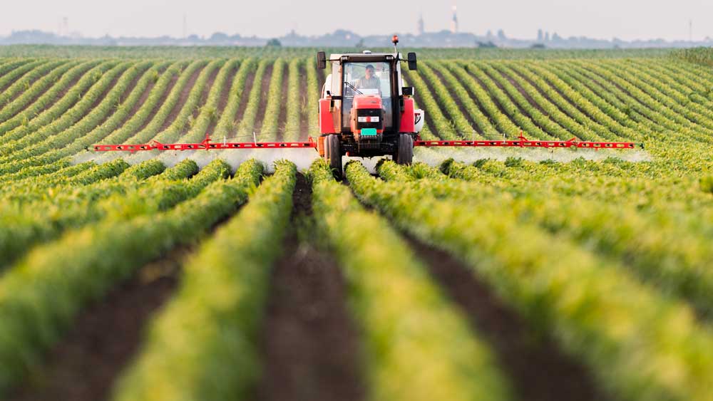 Monsanto: Παραδέχθηκε χρήση απαγορευμένου ζιζανιοκτόνου