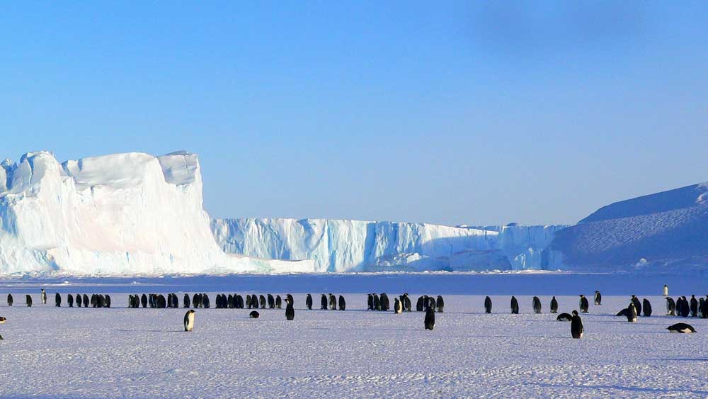 Εικόνα του άρθρου Η Ανταρκτική «προσπερνά» τα κλιματικά μοντέλα