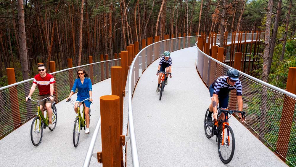 Εικόνα του άρθρου Βέλγιο: Κάνοντας ποδήλατο ανάμεσα στα δέντρα