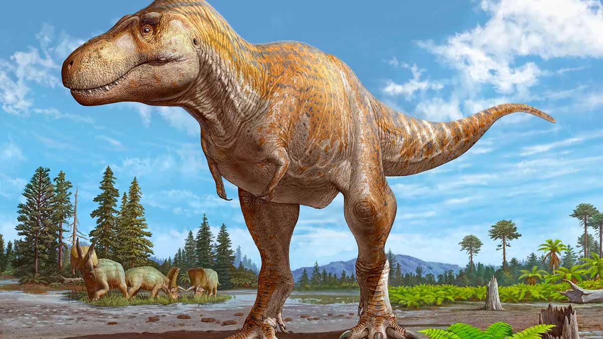 Νέο Μεξικό: Ανακάλυψαν νέο είδος Τυραννόσαυρου;