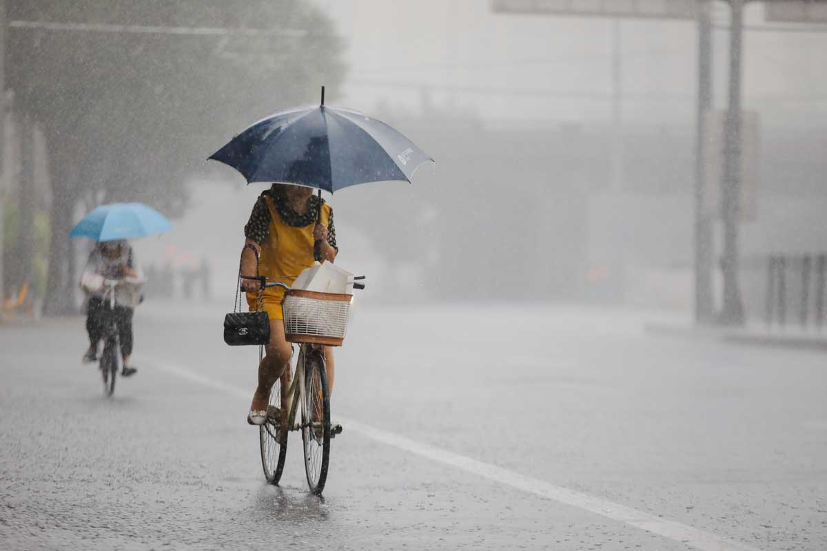 Εικόνα του άρθρου Ποδηλατώντας με μια ομπρέλα