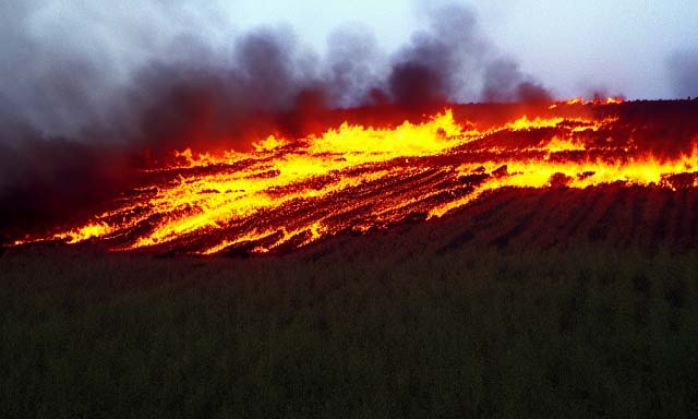Εικόνα του άρθρου Η Ήπειρος, η «έκθεση Γκολντάμερ» και οι πυρκαγιές