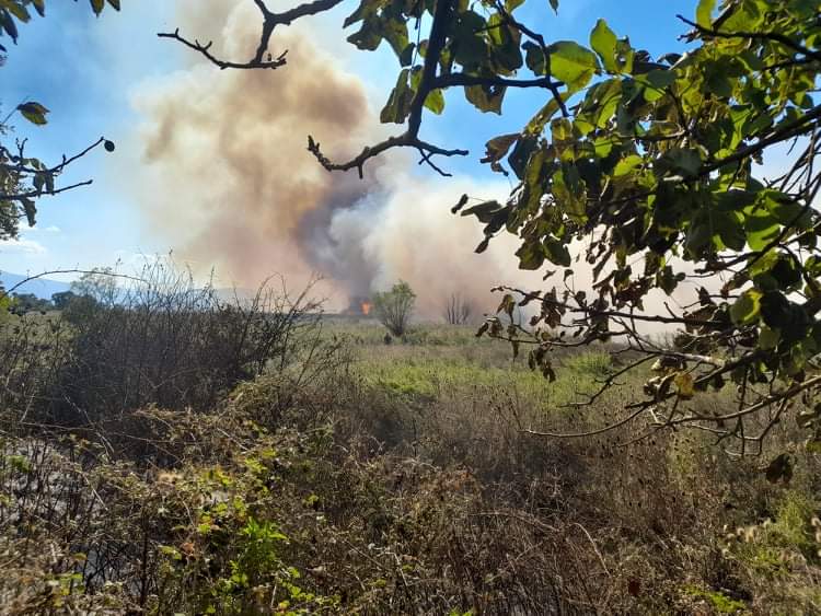 Φωτιά στην Αμφιθέα, εκκλήσεις από τον Δήμο Ιωαννιτών
