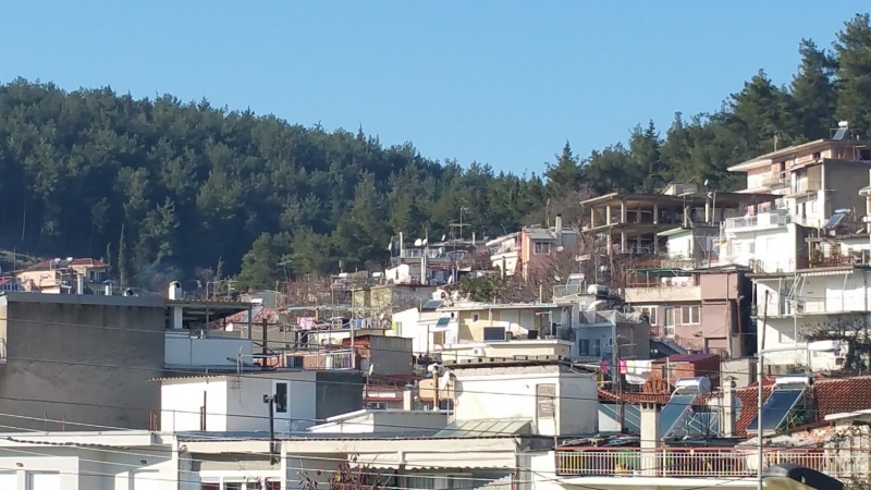 Εικόνα του άρθρου Δήμος καλεί ιδιοκτήτες Ζευγαριών, Δροσιάς, Πεντέλης