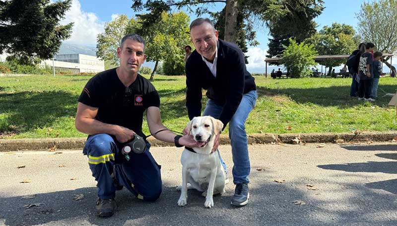 Εικόνα του άρθρου Για τα αδέσποτα και όχι μόνο