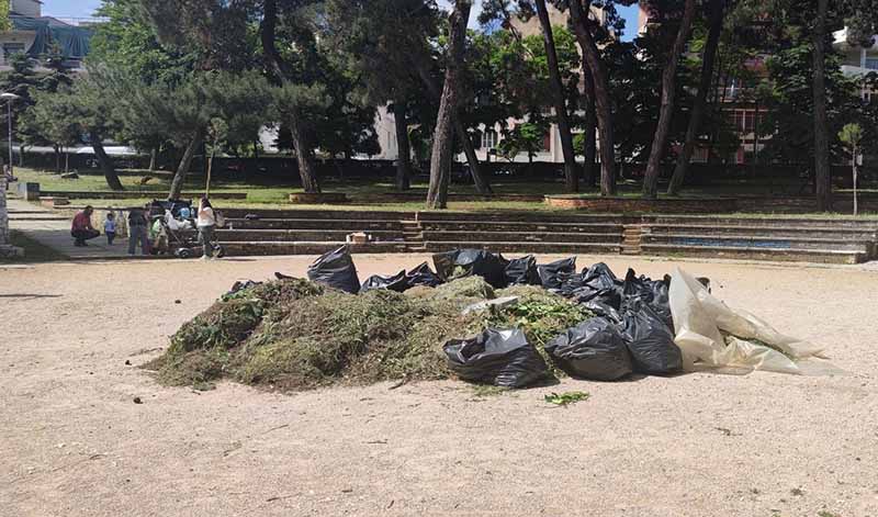 Εικόνα του άρθρου Καθαρίζοντας το πάρκο στο Άλσος