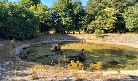 Εικόνα του άρθρου Ένα Bravo για την προστασία μικρών υγρότοπων