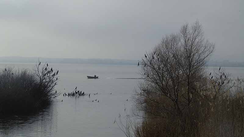 Λίμνη Παμβώτιδα: Ένας σημαντικός βιότοπος για πουλιά